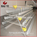 Chicken Poultry Farm Equipment for Layer Breeder Layer Chicken